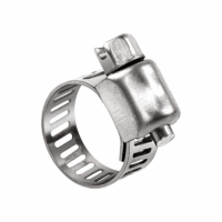 SS Worm Clamp