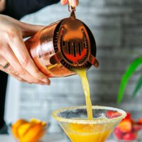 Barobjects - 5 Piece Bar Tools Set - Brushed Stainless