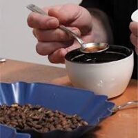 Alternative view of Coffee Cupping Spoon